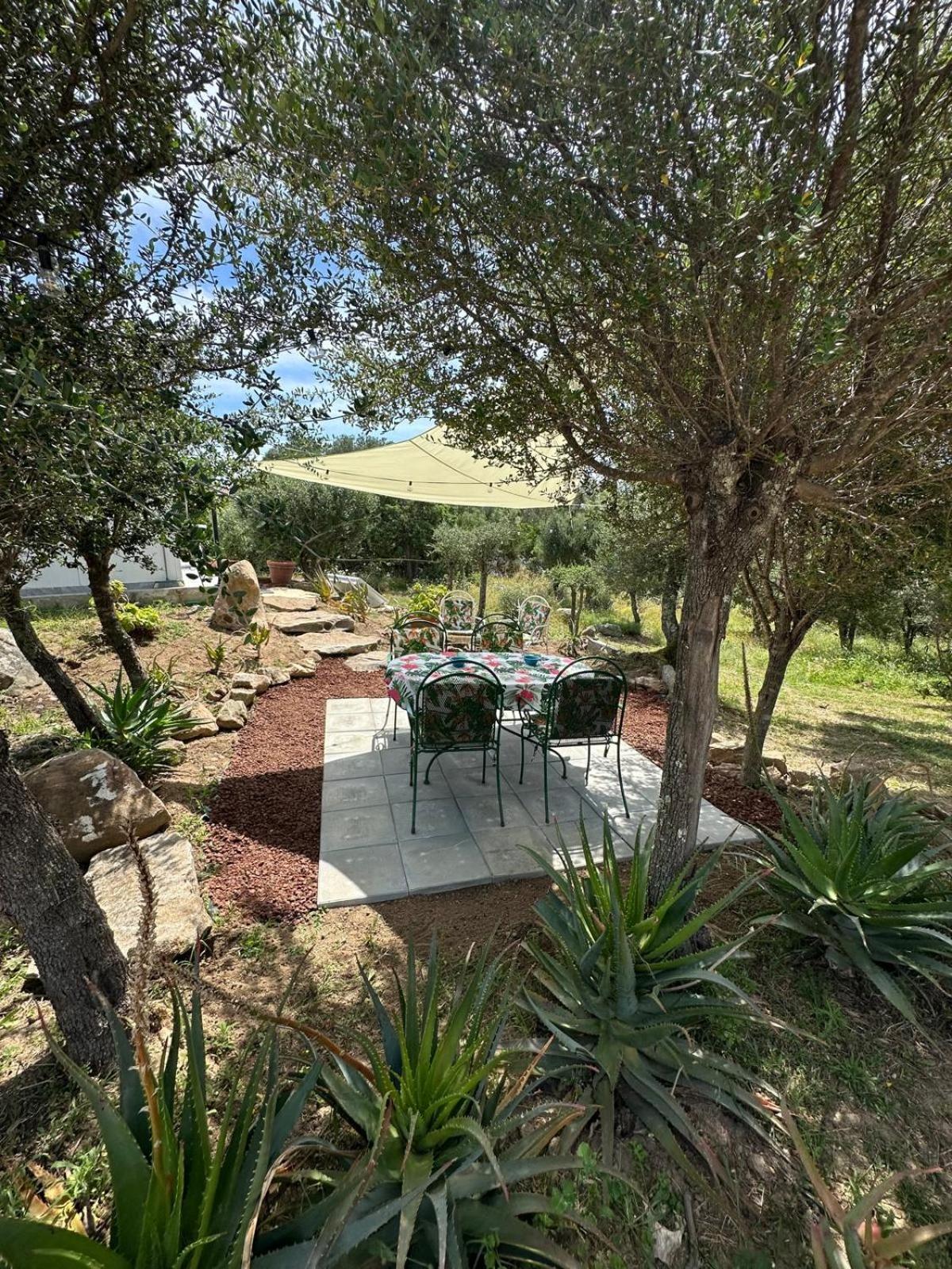 Villa Casa Mariposa Porto Rotondo Rudalza Exterior foto