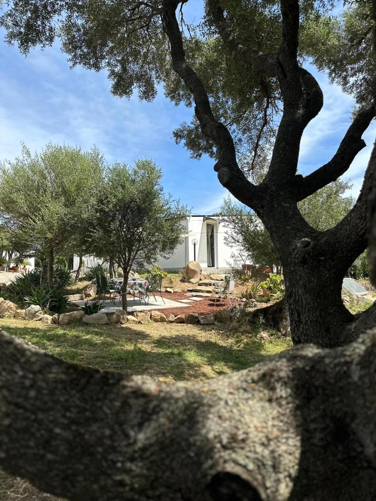 Villa Casa Mariposa Porto Rotondo Rudalza Exterior foto